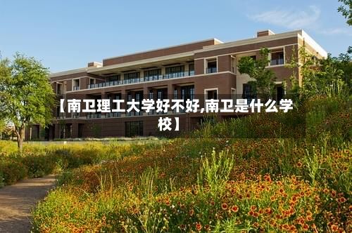 【南卫理工大学好不好,南卫是什么学校】