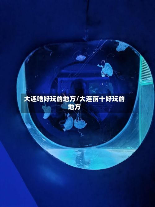 大连啥好玩的地方/大连前十好玩的地方