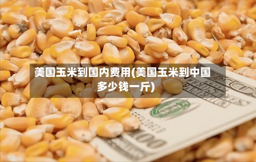 美国玉米到国内费用(美国玉米到中国多少钱一斤)-第2张图片