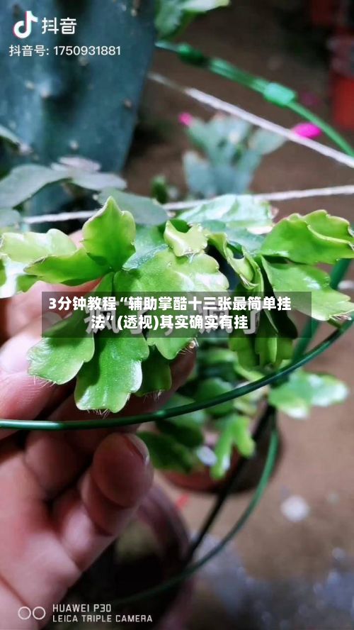 3分钟教程“辅助掌酷十三张最简单挂法	”(透视)其实确实有挂-第2张图片