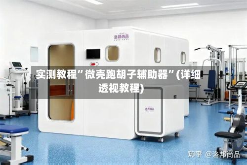 实测教程”微壳跑胡子辅助器”(详细透视教程)-第2张图片