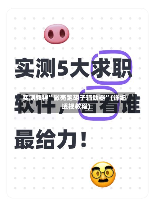 实测教程”微壳跑胡子辅助器”(详细透视教程)