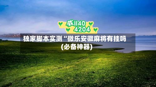 独家脚本实测“微乐安徽麻将有挂吗(必备神器)-第3张图片