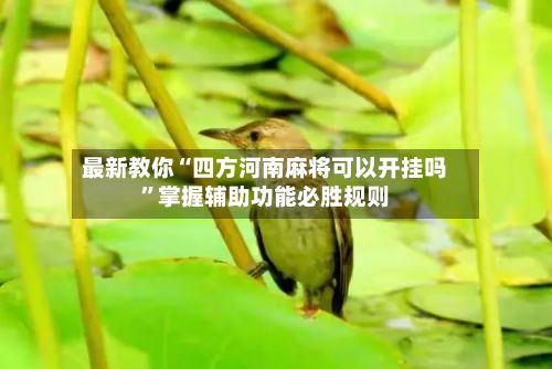 最新教你“四方河南麻将可以开挂吗	”掌握辅助功能必胜规则-第2张图片