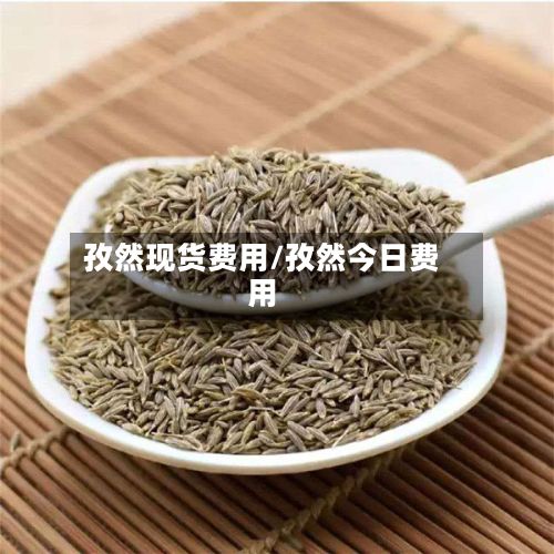 孜然现货费用/孜然今日费用-第2张图片