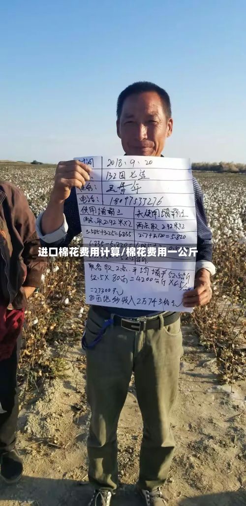 进口棉花费用计算/棉花费用一公斤-第3张图片