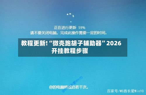 教程更新!“微壳跑胡子辅助器”2026开挂教程步骤-第2张图片
