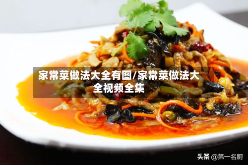 家常菜做法大全有图/家常菜做法大全视频全集