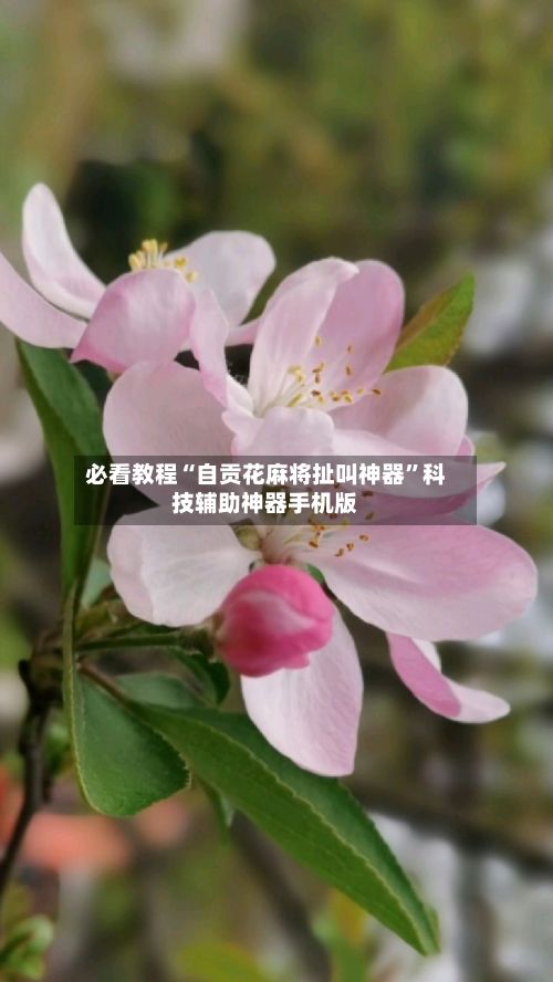 必看教程“自贡花麻将扯叫神器	”科技辅助神器手机版-第3张图片
