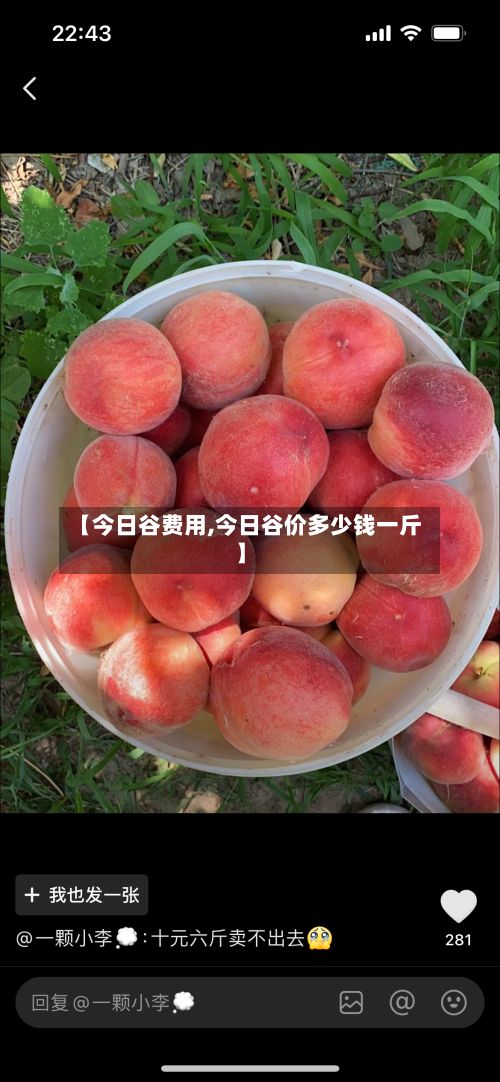 【今日谷费用,今日谷价多少钱一斤】
