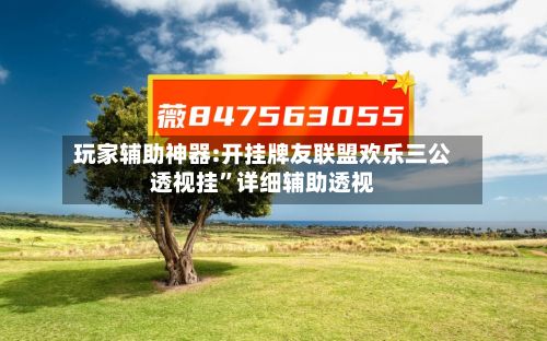 玩家辅助神器:开挂牌友联盟欢乐三公透视挂”详细辅助透视-第2张图片
