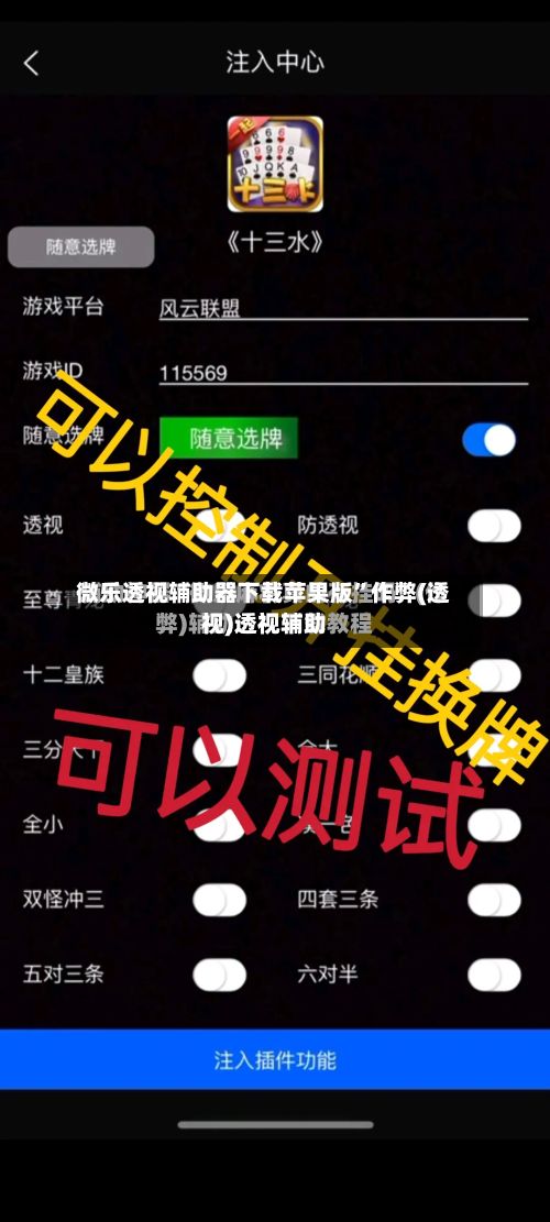 微乐透视辅助器下载苹果版”作弊(透视)透视辅助-第2张图片