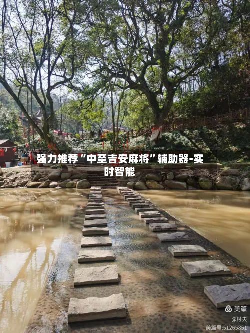 强力推荐“中至吉安麻将”辅助器-实时智能-第3张图片