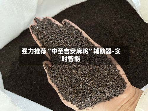 强力推荐“中至吉安麻将”辅助器-实时智能