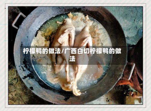 柠檬鸭的做法/广西白切柠檬鸭的做法
