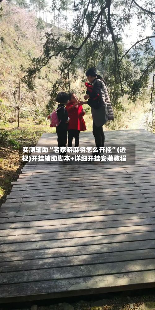 实测辅助“老家游麻将怎么开挂”(透视)开挂辅助脚本+详细开挂安装教程-第2张图片