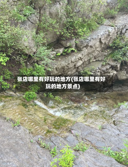 张店哪里有好玩的地方(张店哪里有好玩的地方景点)