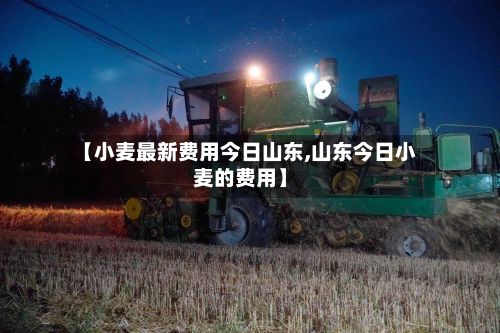 【小麦最新费用今日山东,山东今日小麦的费用】-第3张图片