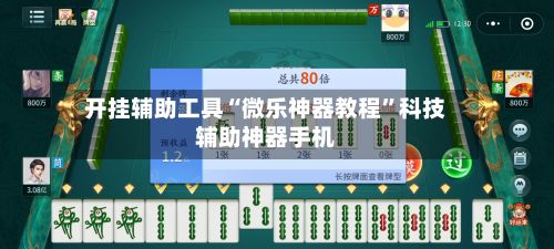 开挂辅助工具“微乐神器教程	”科技辅助神器手机-第2张图片