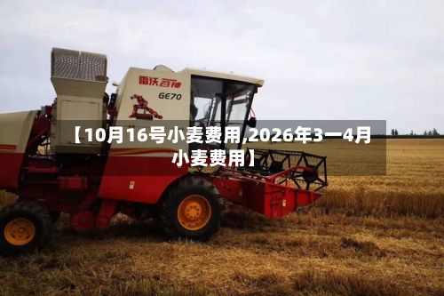 【10月16号小麦费用,2026年3一4月小麦费用】