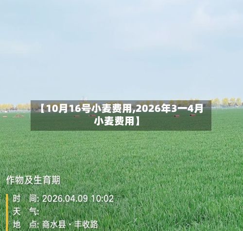辅助盘点“微乐三代小程序必赢神器”开挂辅助软件教程