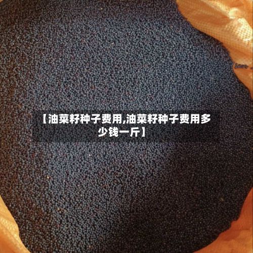 【油菜籽种子费用,油菜籽种子费用多少钱一斤】-第3张图片