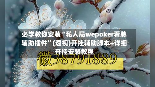 必学教你安装“私人局wepoker看牌辅助插件”(透视)开挂辅助脚本+详细开挂安装教程-第2张图片
