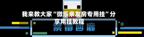 我来教大家“微乐亲友房专用挂”分享用挂教程-第2张图片