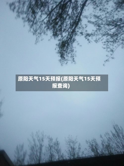 原阳天气15天预报(原阳天气15天预报查询)