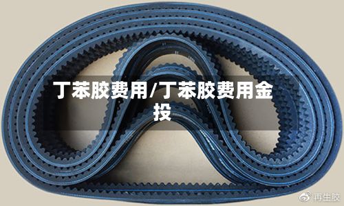 丁苯胶费用/丁苯胶费用金投-第1张图片