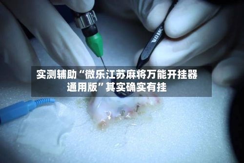 实测辅助“微乐江苏麻将万能开挂器通用版”其实确实有挂-第3张图片