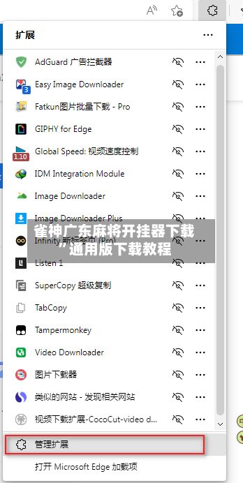 雀神广东麻将开挂器下载	”通用版下载教程-第2张图片
