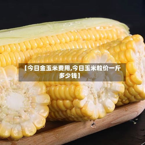 【今日金玉米费用,今日玉米粒价一斤多少钱】-第2张图片