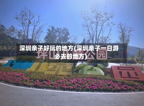 深圳亲子好玩的地方(深圳亲子一日游必去的地方)