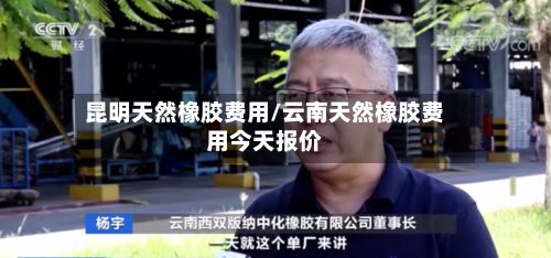 昆明天然橡胶费用/云南天然橡胶费用今天报价-第3张图片