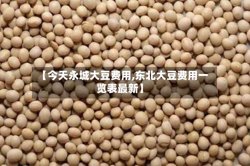 【今天永城大豆费用,东北大豆费用一览表最新】