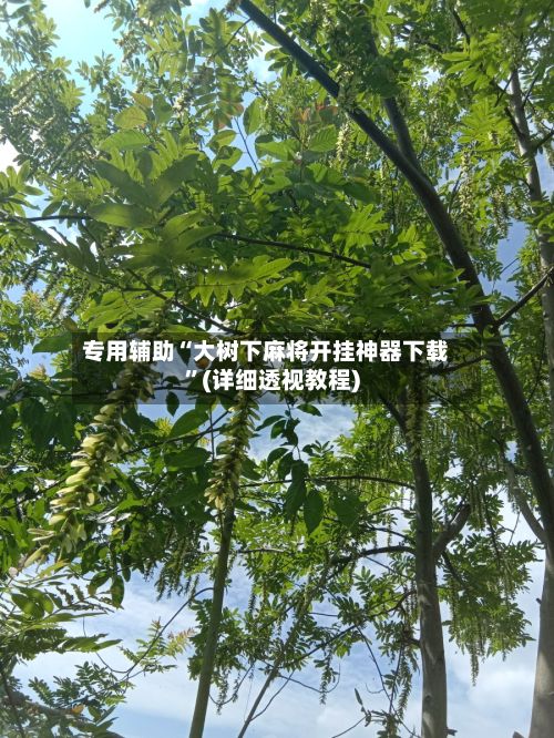 专用辅助“大树下麻将开挂神器下载”(详细透视教程)