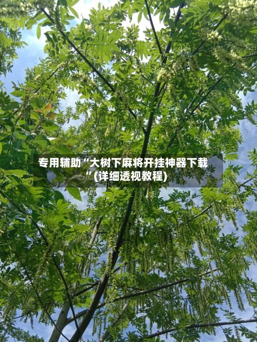 专用辅助“大树下麻将开挂神器下载”(详细透视教程)-第2张图片