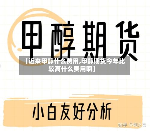 【近来甲醇什么费用,甲醇期货今年比较高什么费用啊】