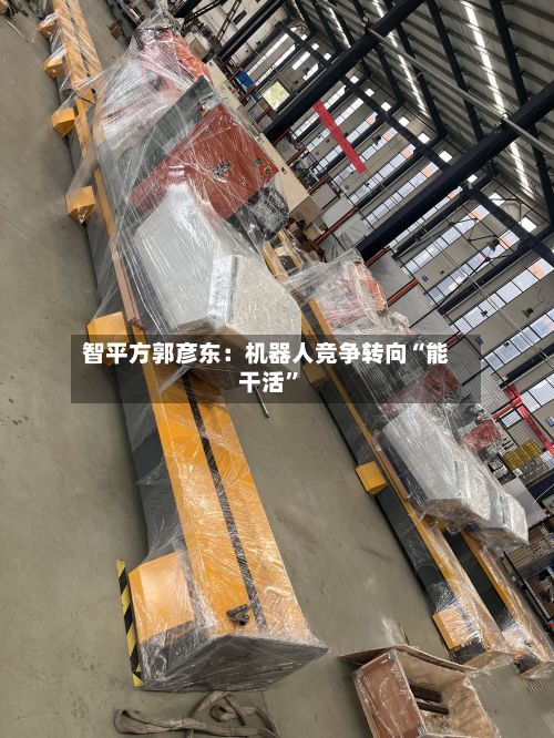 智平方郭彦东：机器人竞争转向“能干活”-第2张图片