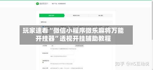 玩家速看“微信小程序微乐麻将万能开挂器”透视开挂辅助教程-第3张图片