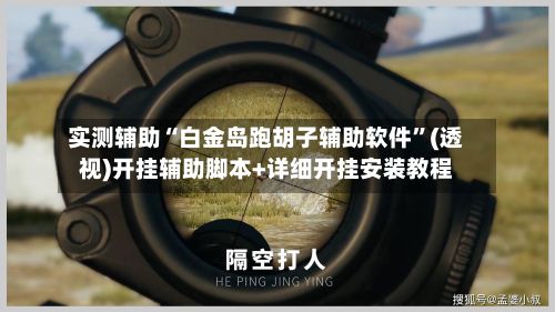 实测辅助“白金岛跑胡子辅助软件”(透视)开挂辅助脚本+详细开挂安装教程-第2张图片