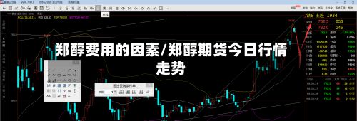 郑醇费用的因素/郑醇期货今日行情走势
