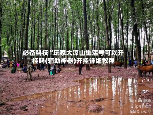 必备科技“玩家大凉山生活号可以开挂吗(辅助神器)开挂详细教程-第2张图片
