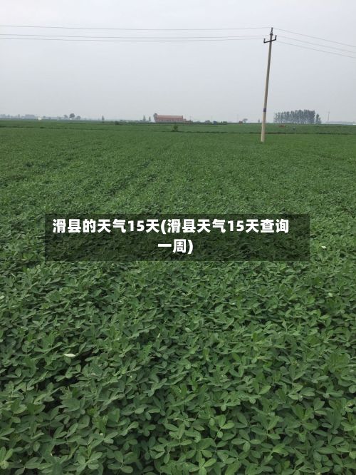 滑县的天气15天(滑县天气15天查询一周)-第2张图片