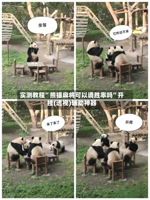 实测教程”熊猫麻将可以调胜率吗”开挂(透视)辅助神器-第3张图片