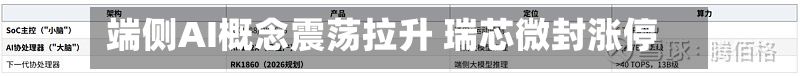 端侧AI概念震荡拉升 瑞芯微封涨停-第1张图片