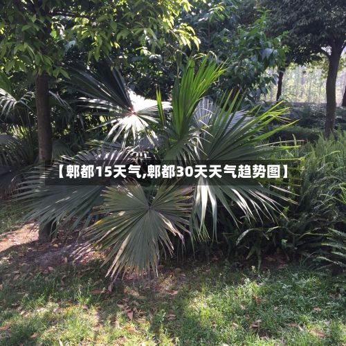 【郫都15天气,郫都30天天气趋势图】-第2张图片