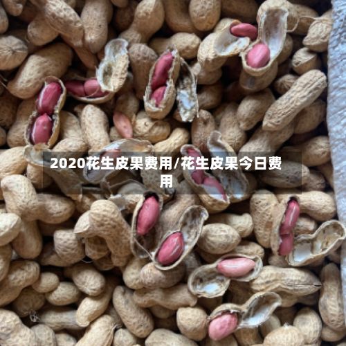 2020花生皮果费用/花生皮果今日费用-第2张图片