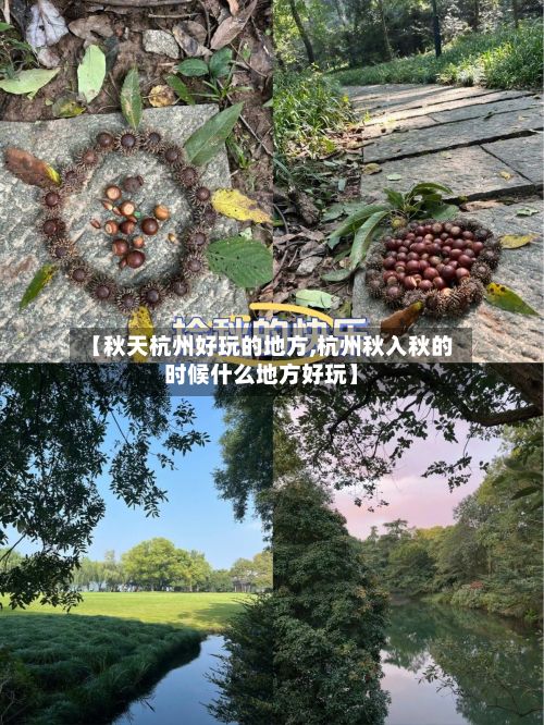 【秋天杭州好玩的地方,杭州秋入秋的时候什么地方好玩】